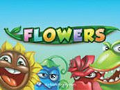 Flowers Slot Game Image